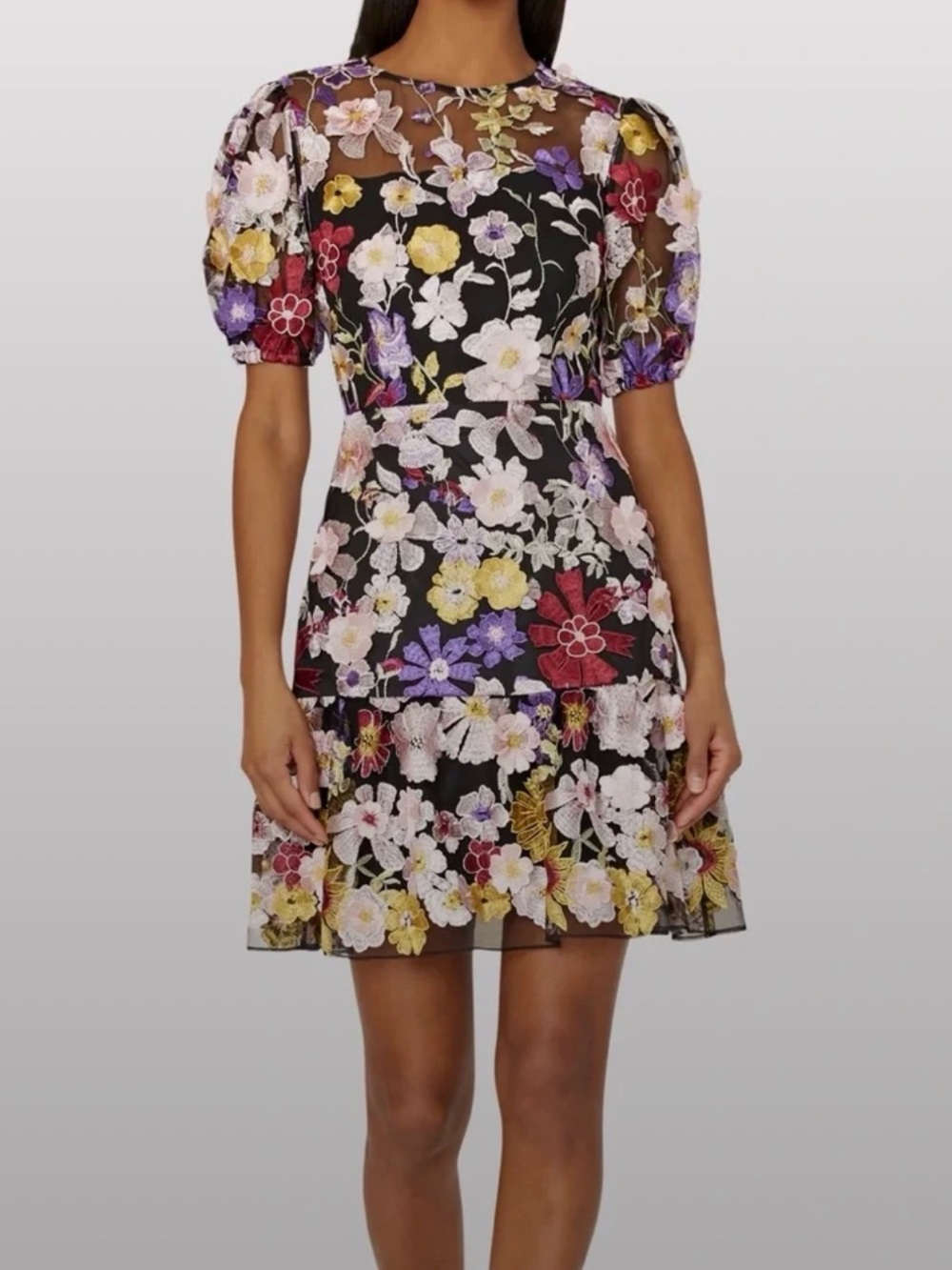 Milly Black Sheer Dress with Multicolor Floral Embroidery